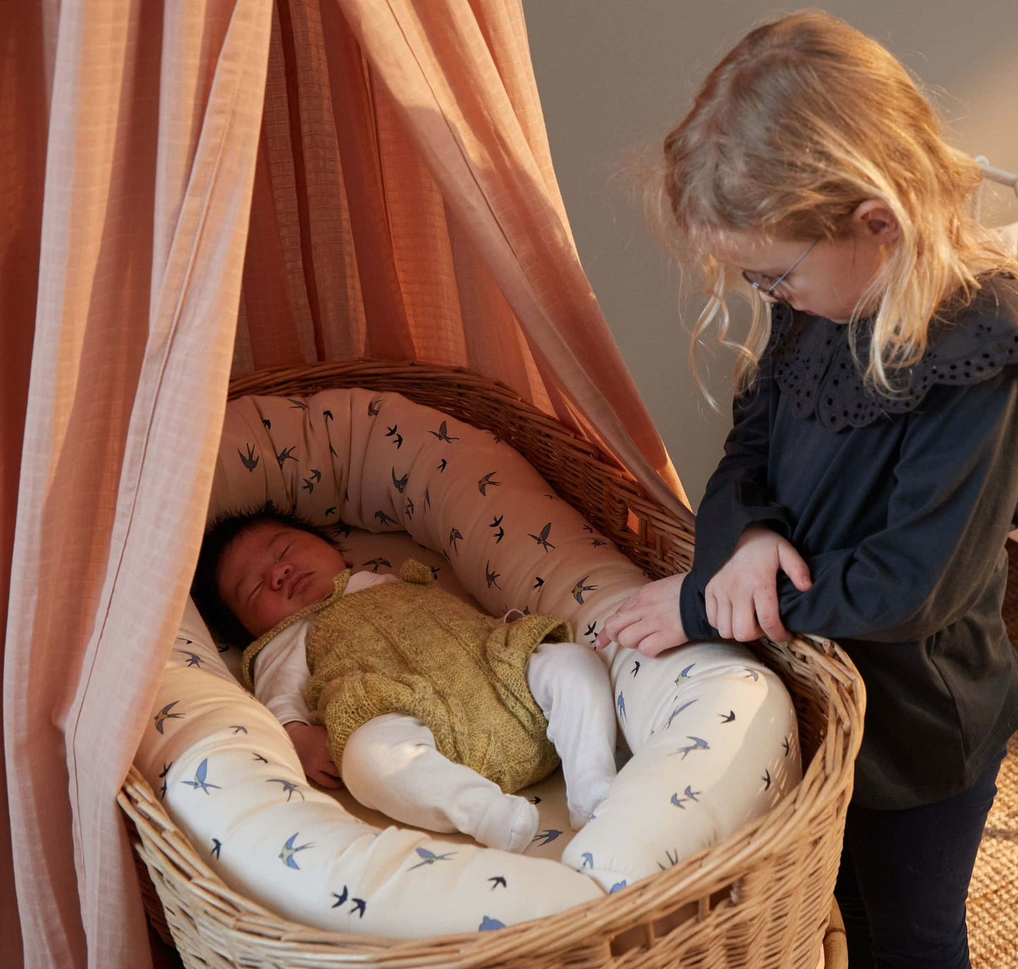 Babynest - Dancing Swallow