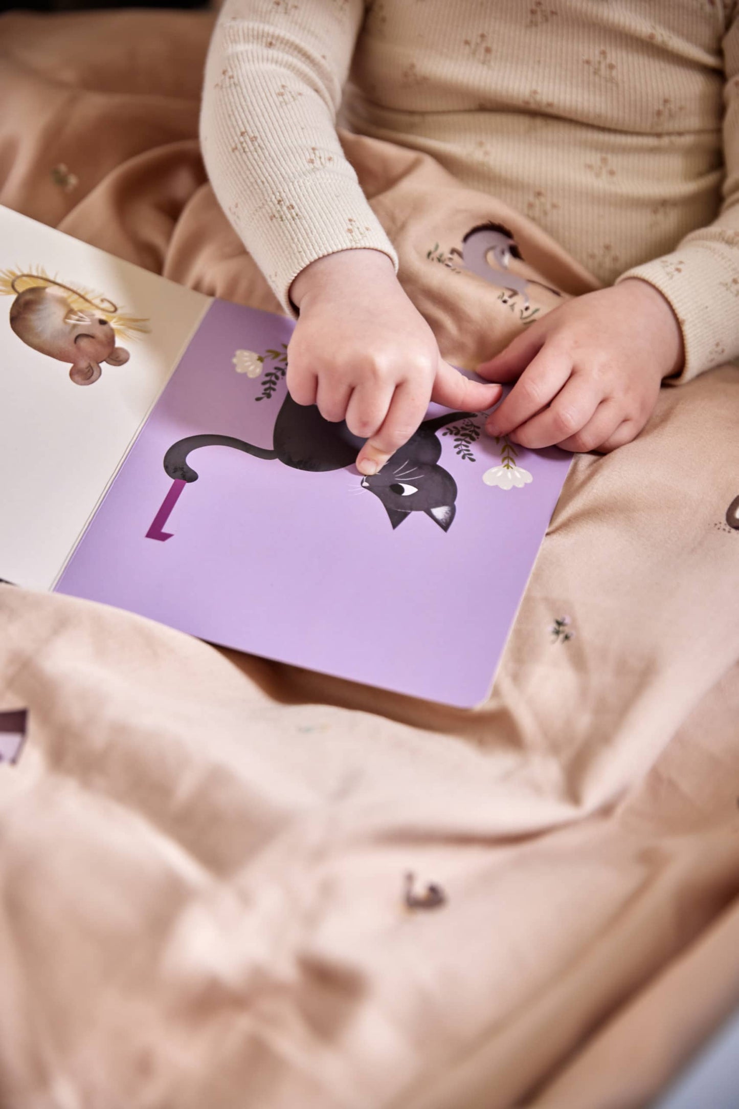 Babybuch - Zähl bis zehn