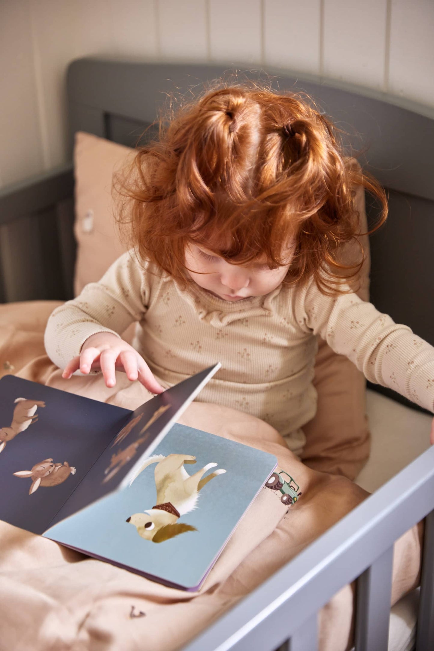 Babybuch - Zähl bis zehn