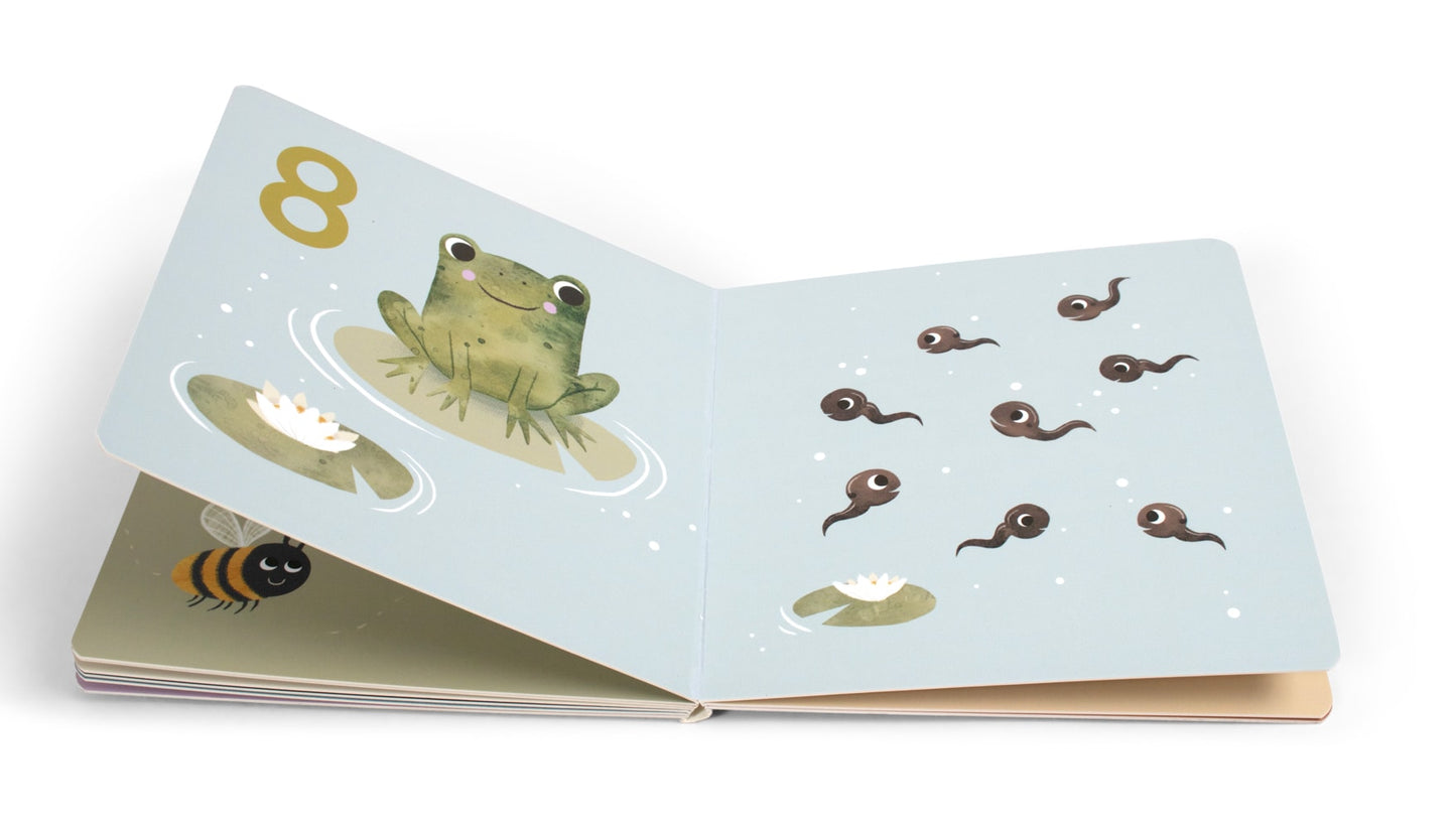 Babybuch - Zähl bis zehn
