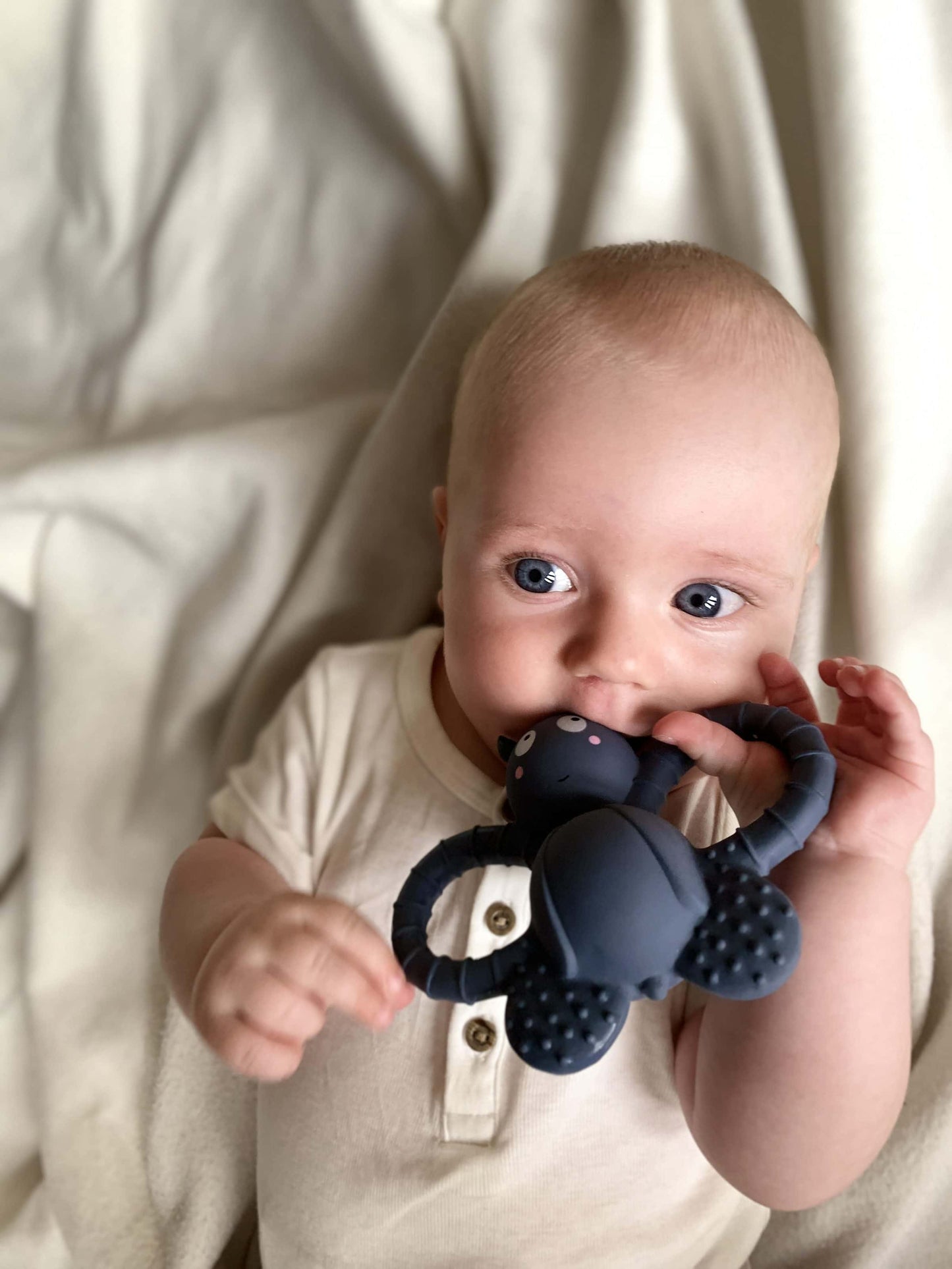 Beißring - Felix die Fliege Naturkautschuk